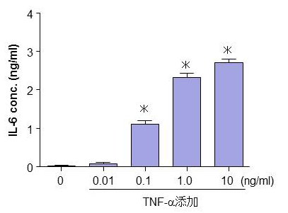 IL-6グラフ